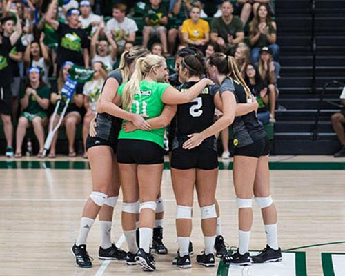 Volleyball team huddling